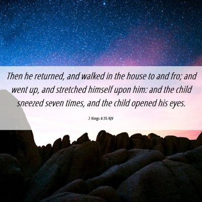 Picture 06 - 2 Kings 4:35 KJV - Then he returned, and walked in the house to and - Bible Verse Picture