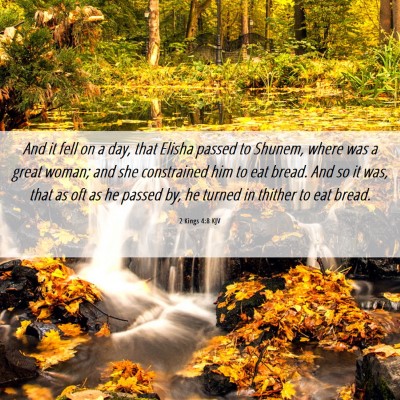 Picture 06 - 2 Kings 4:8 KJV - And it fell on a day, that Elisha passed to - Bible Verse Picture