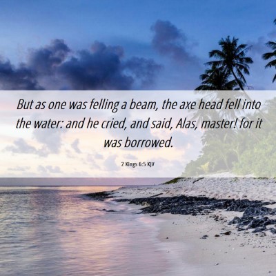 Picture 06 - 2 Kings 6:5 KJV - But as one was felling a beam, the axe head fell - Bible Verse Picture