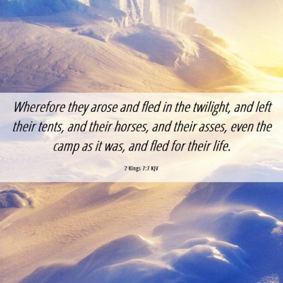 Picture 06 - 2 Kings 7:7 KJV - Wherefore they arose and fled in the twilight, - Bible Verse Picture