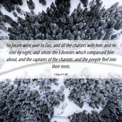 Picture 06 - 2 Kings 8:21 KJV - So Joram went over to Zair, and all the chariots - Bible Verse Picture