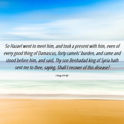 Picture 06 - 2 Kings 8:9 KJV - So Hazael went to meet him, and took a present - Bible Verse Picture