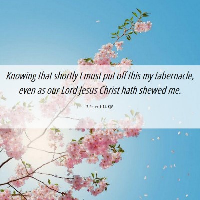 Picture 06 - 2 Peter 1:14 KJV - Knowing that shortly I must put off this my - Bible Verse Picture