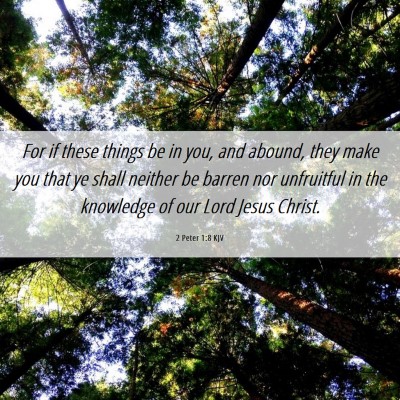 Picture 06 - 2 Peter 1:8 KJV - For if these things be in you, and abound, they - Bible Verse Picture