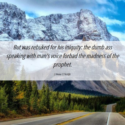 Picture 06 - 2 Peter 2:16 KJV - But was rebuked for his iniquity: the dumb ass - Bible Verse Picture