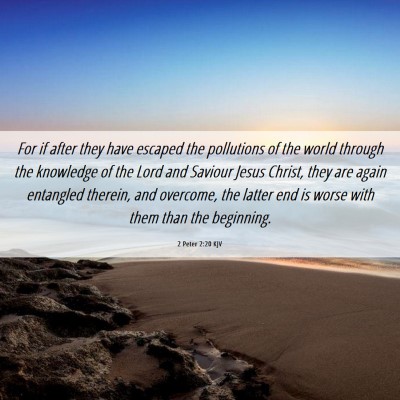 Picture 06 - 2 Peter 2:20 KJV - For if after they have escaped the pollutions of - Bible Verse Picture