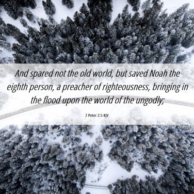 Picture 06 - 2 Peter 2:5 KJV - And spared not the old world, but saved Noah the - Bible Verse Picture