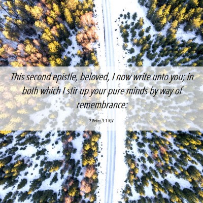 Picture 06 - 2 Peter 3:1 KJV - This second epistle, beloved, I now write unto - Bible Verse Picture