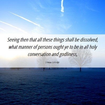 Picture 06 - 2 Peter 3:11 KJV - Seeing then that all these things shall be - Bible Verse Picture