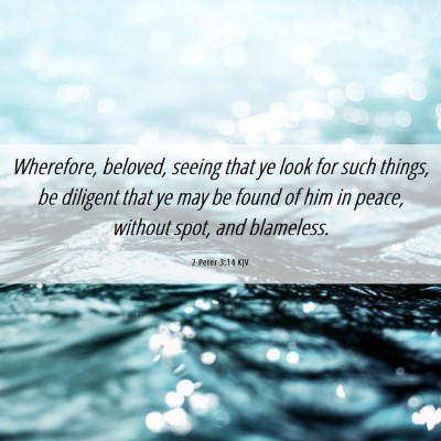 Picture 06 - 2 Peter 3:14 KJV - Wherefore, beloved, seeing that ye look for such - Bible Verse Picture
