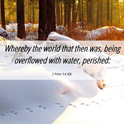 Picture 06 - 2 Peter 3:6 KJV - Whereby the world that then was, being overflowed - Bible Verse Picture