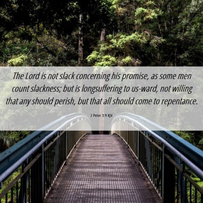 Picture 06 - 2 Peter 3:9 KJV - The Lord is not slack concerning his promise, as - Bible Verse Picture