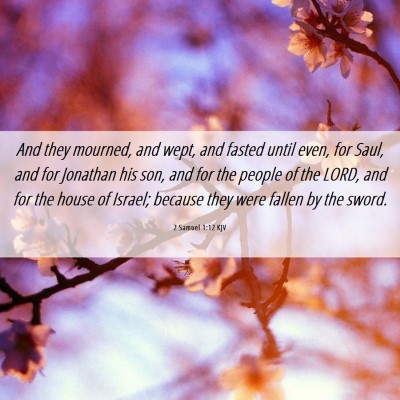 Picture 06 - 2 Samuel 1:12 KJV - And they mourned, and wept, and fasted until - Bible Verse Picture