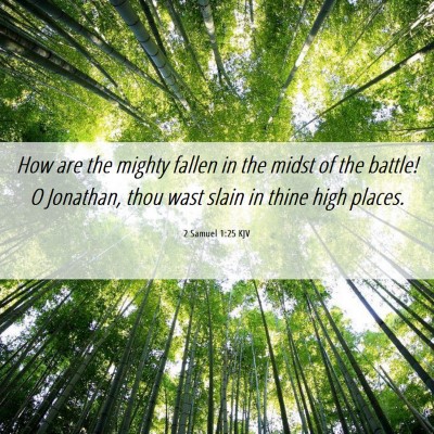 Picture 06 - 2 Samuel 1:25 KJV - How are the mighty fallen in the midst of the - Bible Verse Picture