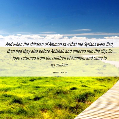Picture 06 - 2 Samuel 10:14 KJV - And when the children of Ammon saw that the - Bible Verse Picture
