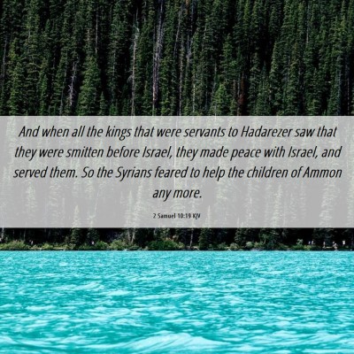 Picture 06 - 2 Samuel 10:19 KJV - And when all the kings that were servants to - Bible Verse Picture