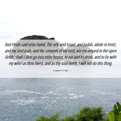 Picture 06 - 2 Samuel 11:11 KJV - And Uriah said unto David, The ark, and Israel, - Bible Verse Picture