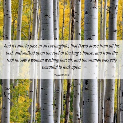 Picture 06 - 2 Samuel 11:2 KJV - And it came to pass in an eveningtide, that David - Bible Verse Picture