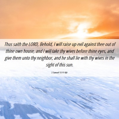 Picture 06 - 2 Samuel 12:11 KJV - Thus saith the LORD, Behold, I will raise up evil - Bible Verse Picture