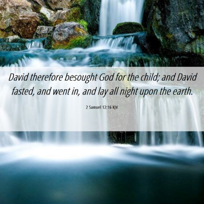 Picture 06 - 2 Samuel 12:16 KJV - David therefore besought God for the child; and - Bible Verse Picture