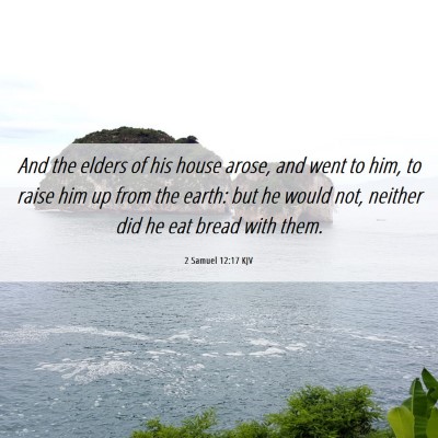 Picture 06 - 2 Samuel 12:17 KJV - And the elders of his house arose, and went to - Bible Verse Picture
