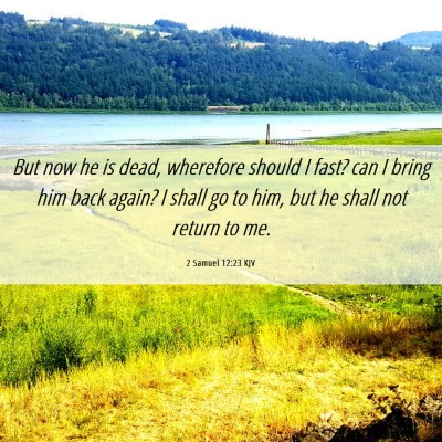 Picture 06 - 2 Samuel 12:23 KJV - But now he is dead, wherefore should I fast? can - Bible Verse Picture