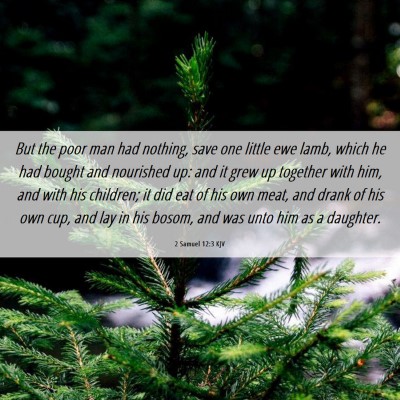 Picture 06 - 2 Samuel 12:3 KJV - But the poor man had nothing, save one little ewe - Bible Verse Picture