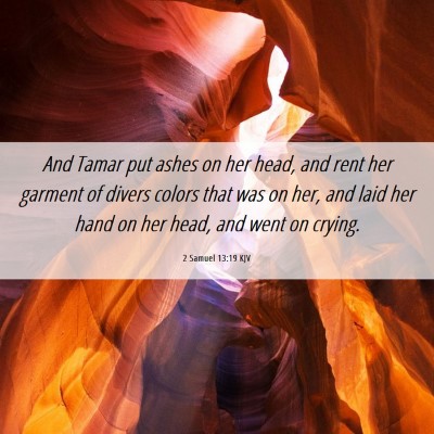 Picture 06 - 2 Samuel 13:19 KJV - And Tamar put ashes on her head, and rent her - Bible Verse Picture