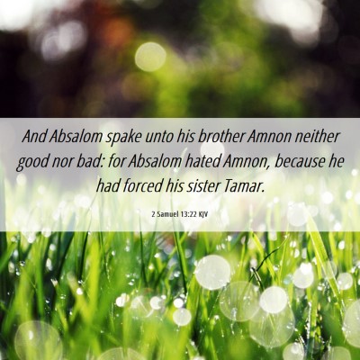 Picture 06 - 2 Samuel 13:22 KJV - And Absalom spake unto his brother Amnon neither - Bible Verse Picture