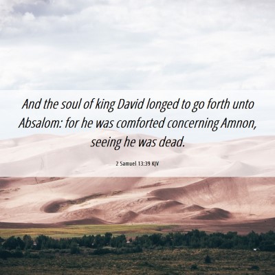 Picture 06 - 2 Samuel 13:39 KJV - And the soul of king David longed to go forth - Bible Verse Picture