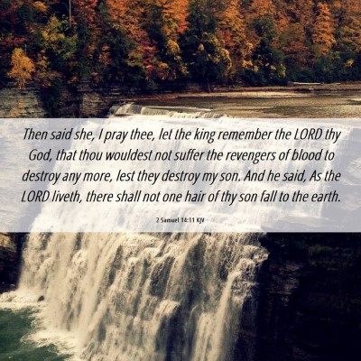 Picture 06 - 2 Samuel 14:11 KJV - Then said she, I pray thee, let the king remember - Bible Verse Picture