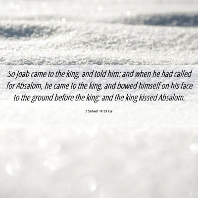 Picture 06 - 2 Samuel 14:33 KJV - So Joab came to the king, and told him: and when - Bible Verse Picture