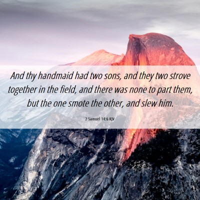 Picture 06 - 2 Samuel 14:6 KJV - And thy handmaid had two sons, and they two - Bible Verse Picture
