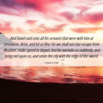 Picture 06 - 2 Samuel 15:14 KJV - And David said unto all his servants that were - Bible Verse Picture