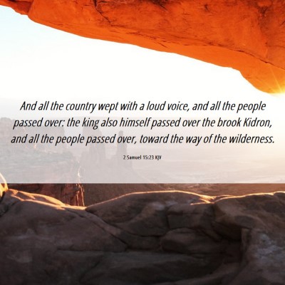 Picture 06 - 2 Samuel 15:23 KJV - And all the country wept with a loud voice, and - Bible Verse Picture