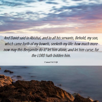 Picture 06 - 2 Samuel 16:11 KJV - And David said to Abishai, and to all his - Bible Verse Picture