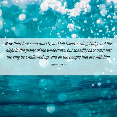 Picture 06 - 2 Samuel 17:16 KJV - Now therefore send quickly, and tell David, - Bible Verse Picture