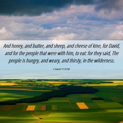 Picture 06 - 2 Samuel 17:29 KJV - And honey, and butter, and sheep, and cheese of - Bible Verse Picture