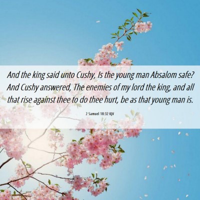 Picture 06 - 2 Samuel 18:32 KJV - And the king said unto Cushy, Is the young man - Bible Verse Picture