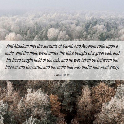 Picture 06 - 2 Samuel 18:9 KJV - And Absalom met the servants of David. And - Bible Verse Picture