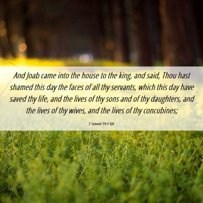 Picture 06 - 2 Samuel 19:5 KJV - And Joab came into the house to the king, and - Bible Verse Picture