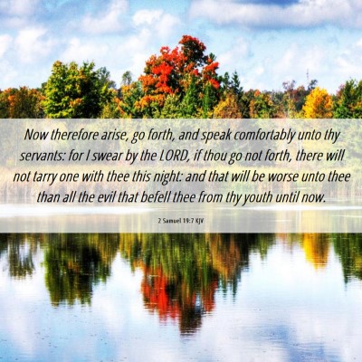 Picture 06 - 2 Samuel 19:7 KJV - Now therefore arise, go forth, and speak - Bible Verse Picture
