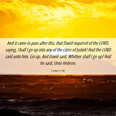 Picture 06 - 2 Samuel 2:1 KJV - And it came to pass after this, that David - Bible Verse Picture