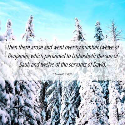 Picture 06 - 2 Samuel 2:15 KJV - Then there arose and went over by number twelve - Bible Verse Picture