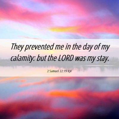 Picture 06 - 2 Samuel 22:19 KJV - They prevented me in the day of my calamity: but - Bible Verse Picture