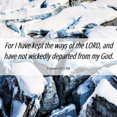 Picture 06 - 2 Samuel 22:22 KJV - For I have kept the ways of the LORD, and have - Bible Verse Picture