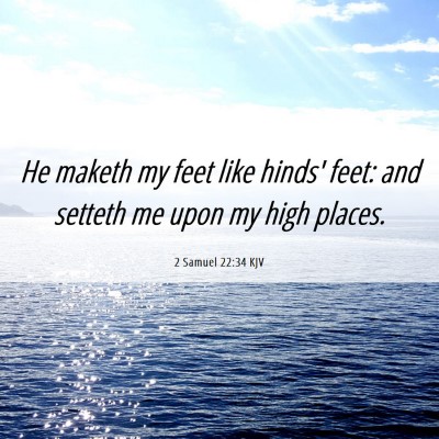 Picture 06 - 2 Samuel 22:34 KJV - He maketh my feet like hinds' feet: and setteth - Bible Verse Picture