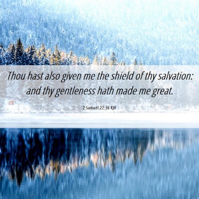 Picture 06 - 2 Samuel 22:36 KJV - Thou hast also given me the shield of thy - Bible Verse Picture