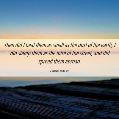 Picture 06 - 2 Samuel 22:43 KJV - Then did I beat them as small as the dust of the - Bible Verse Picture