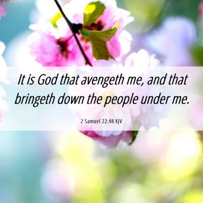 Picture 06 - 2 Samuel 22:48 KJV - It is God that avengeth me, and that bringeth - Bible Verse Picture